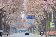 达州共建“花园城市” 北京这场议政会“百花齐放”