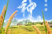 达州芒种节气小知识来了 夏种作物都有什么？
